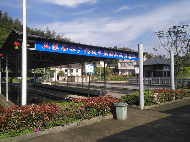 三文鱼养殖基地